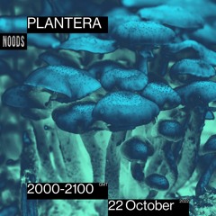 Noods Radio - Plantera - 22.10.22
