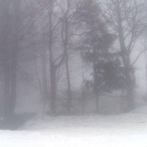 Frozen Serenity