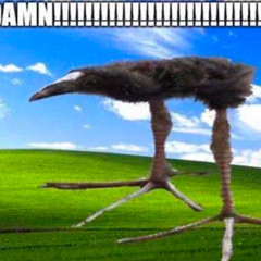 Crapaud Melon - L'oiseau A Chier Du Salami