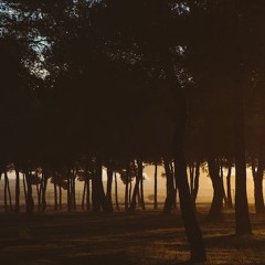 Does Happiness Require Apathy to Others’ Sorrows?