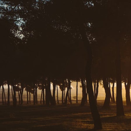 Does Happiness Require Apathy to Others’ Sorrows?