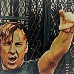 Light Switch - BIS Brown Shoe