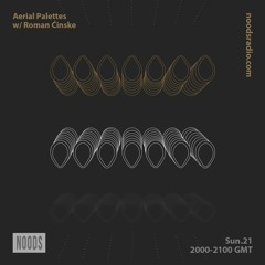 Aerial Palettes w/ Roman Ćinske :: Noods Radio (February)