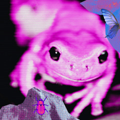 ribbitt