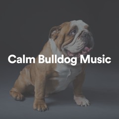 Calm Bulldog Music, Pt. 1