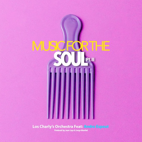 Music For The Soul Pt. 2 - Los Charly's Orchestra Feat. Andre Espeut