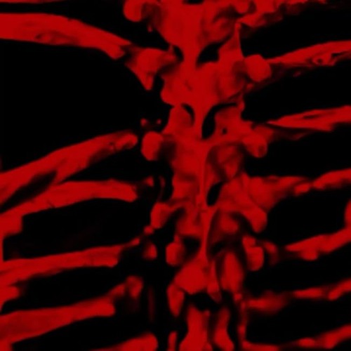 special *p. tenshi x tec9beat*