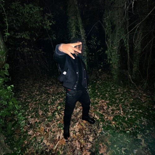 INSANE_mp3 (prod. Coupe)
