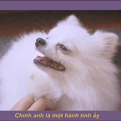 TÌNH LÀ (Original) - Hannah Hoang