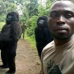 маленький ярче что ты тут устроил (То НИ МОЙ ТРЕК)