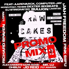 RAW CAKES PROMO MIX 2