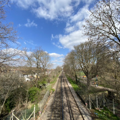 Hackney Parrot (Tessela) vs Dial 274 (Skee Mask)