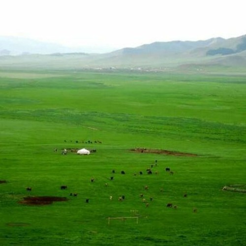 Stream Талын Монгол by Mongolian National Radio | Listen online for ...