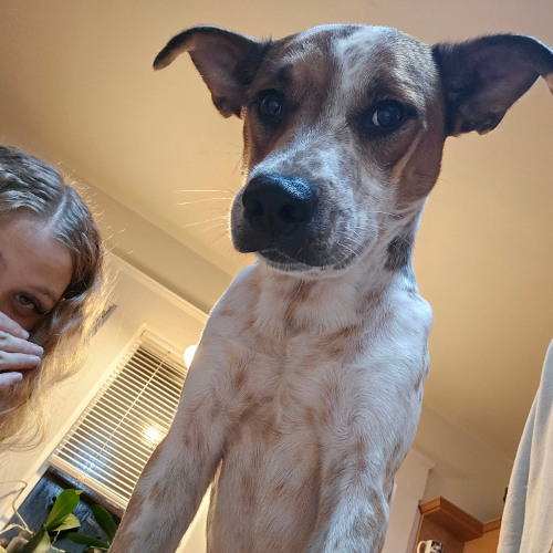 1,2,3,4,5 (prod. fakeflowers)