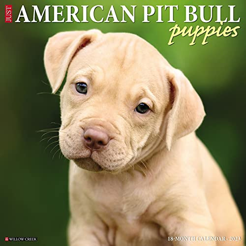 [DOWNLOAD] PDF 📕 Just American Pit Bull Terrier Puppies 2023 Wall Calendar by  Willo