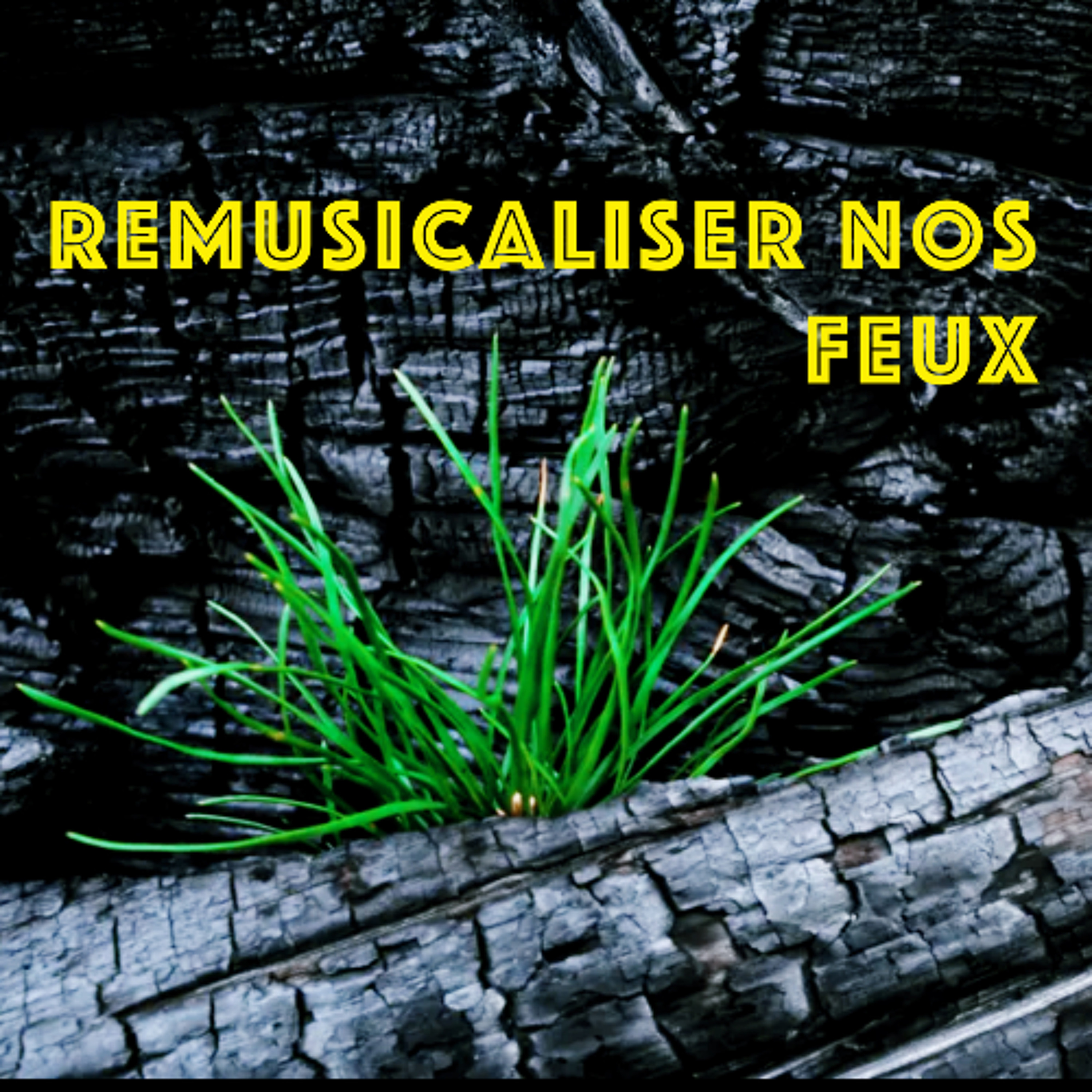 MICROPHONE FRANCOPHONE 15.22 episode artwork