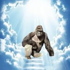 RIP haramb33 ft. ka$tro