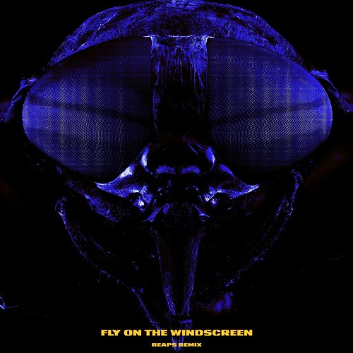 Depeche Mode - Fly On The Windscreen (Reaps Remix)(Extended)