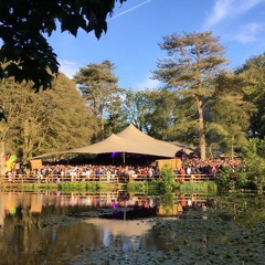 if i were to open gottwood festival and the weather was class (vinyl)