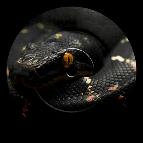 Phyton