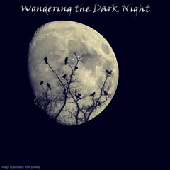 Wandering the Dark Night