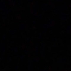 all my friends are wasted