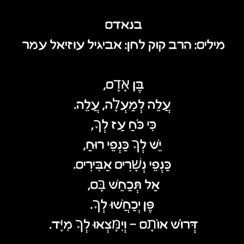 פנימה - בנאדם