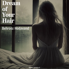 Dream of Your Hair.mp3