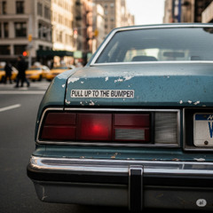 Pull Up to the Bumper (Hz Flirt Bootleg)