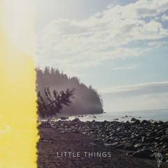 little things