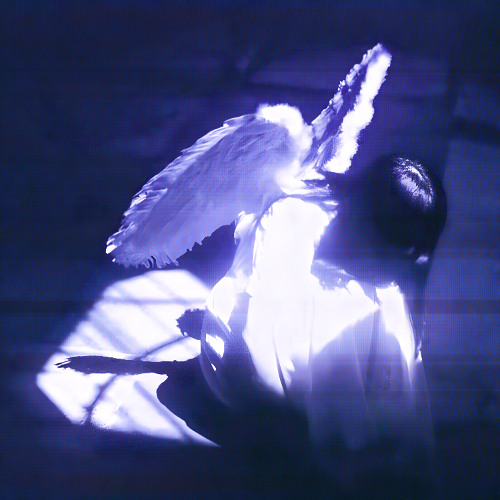 ketamine girl + kittyangel & MRJay