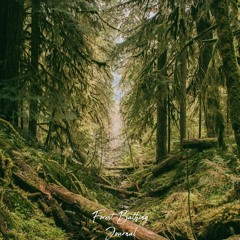 free read Forest Bathing Journal: A guided journal for recording your walking practice