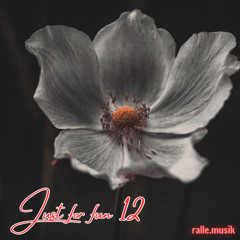 Just for Fun 12