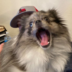 @fuxkcy - DOXBIN FREESTYLE deleting later