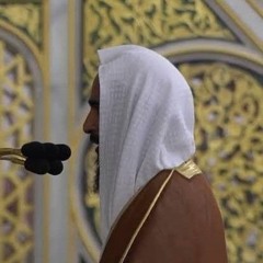 سورة الأحزاب - تلاوة تجمع السكينة و الهدوء للشيخ أحمد بن طالب حميد