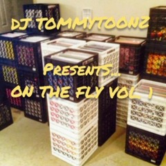 DJ TOMMYTOONZ PRESENTS ON THE FLY MIX VOL.1
