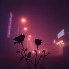 fallen angels 2