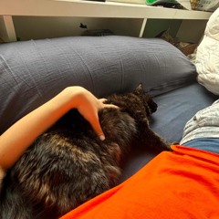 We need a fucking AI to save the world(w/ DJ watch out for innerring difference)