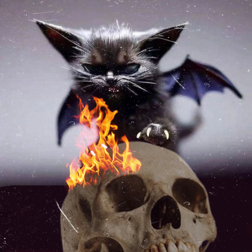 hell bat prod. jolst