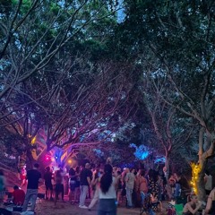 25.5.24 - Birthday carnival- psychedelic journey