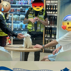 Full Beans August '25