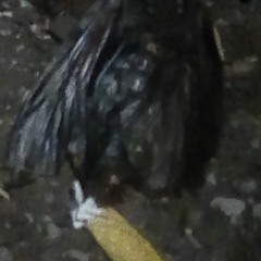 Black Hearted Love