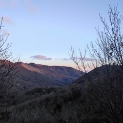 montag GDPR cover.wav