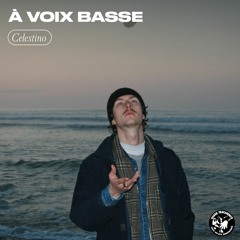 À Voix Basse - Celestino