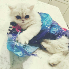 popularmmos prod. veery