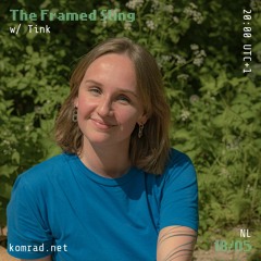 The Framed Sting 006 w/ Tink