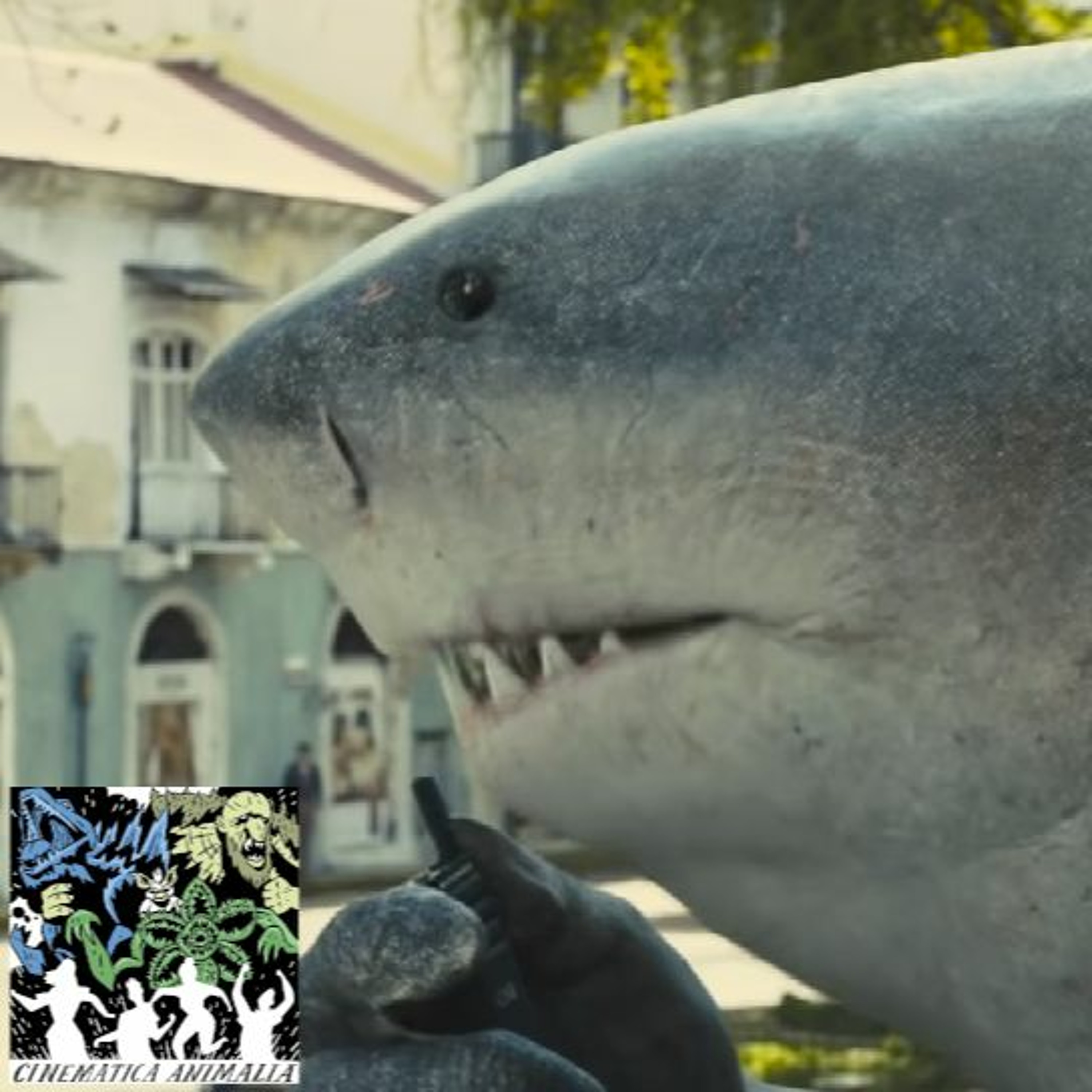 Cinematica Animalia