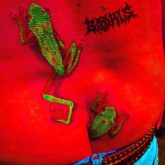 frog chune