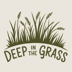 Steam Powered AeroPlane