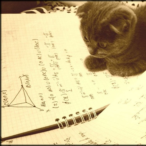 Study and  Coding music